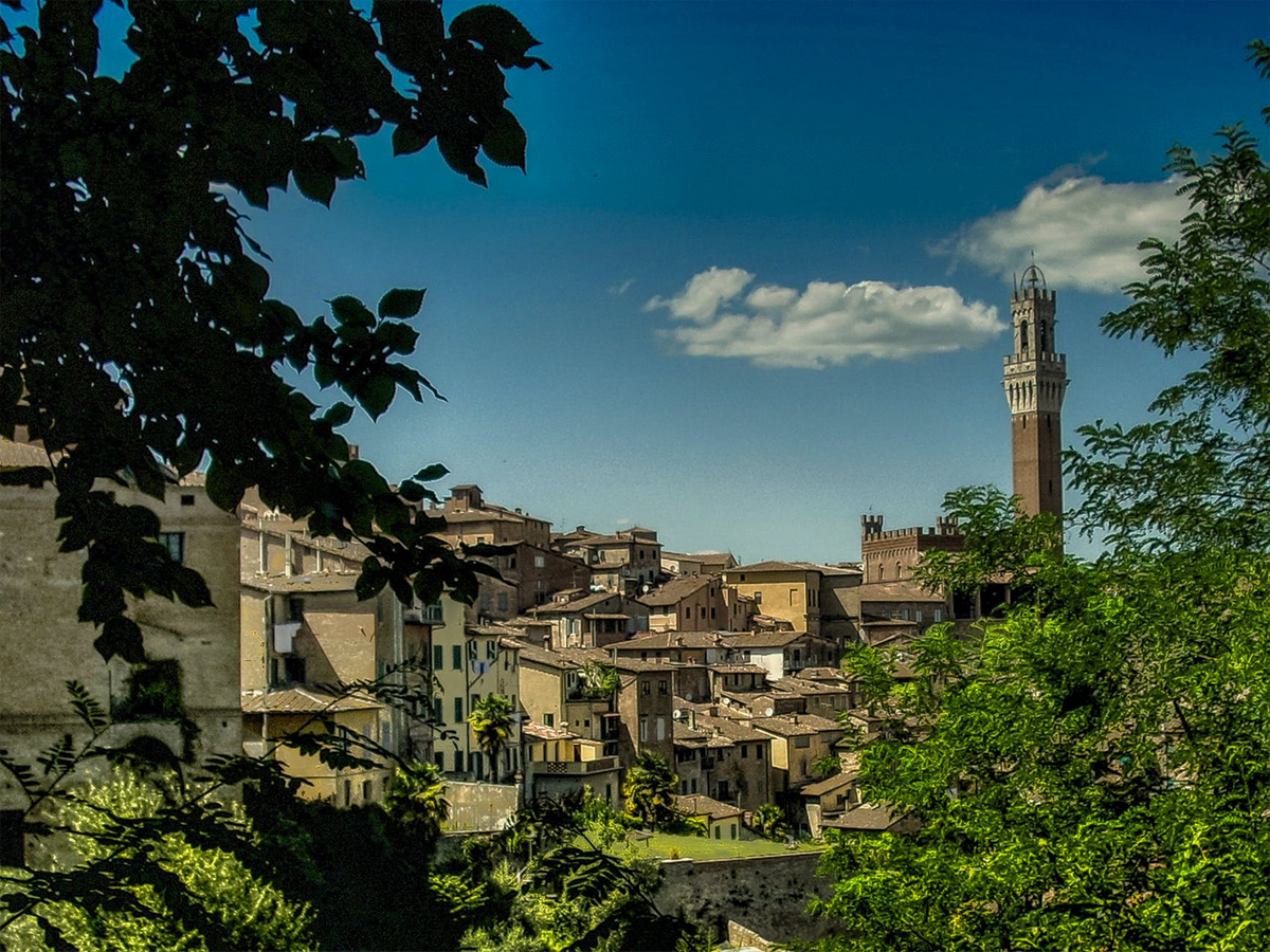 Ore 11.30 - Arrivo a Siena &  Visita Guidata di 2 ore 