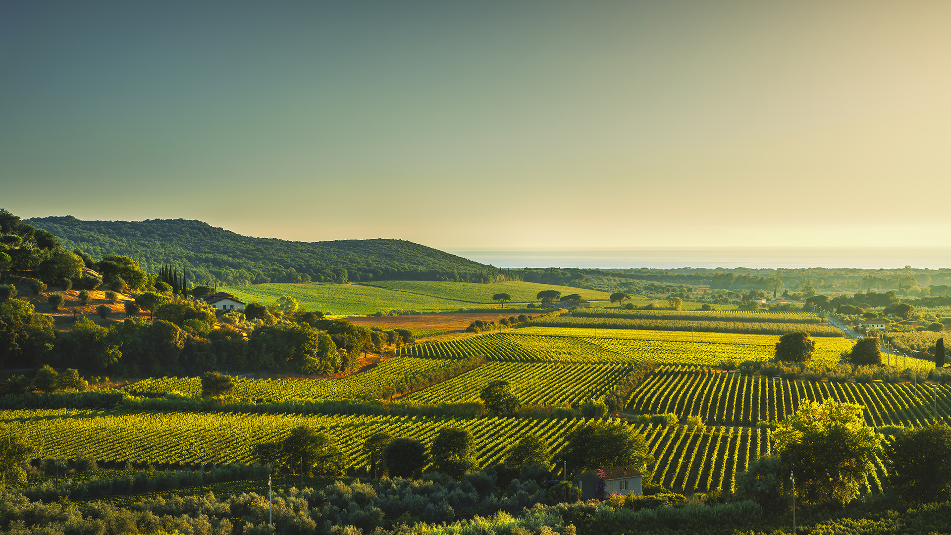 Sulla Strada Del Vino E Dell olio A Bolgheri Viaggio Con Stile 