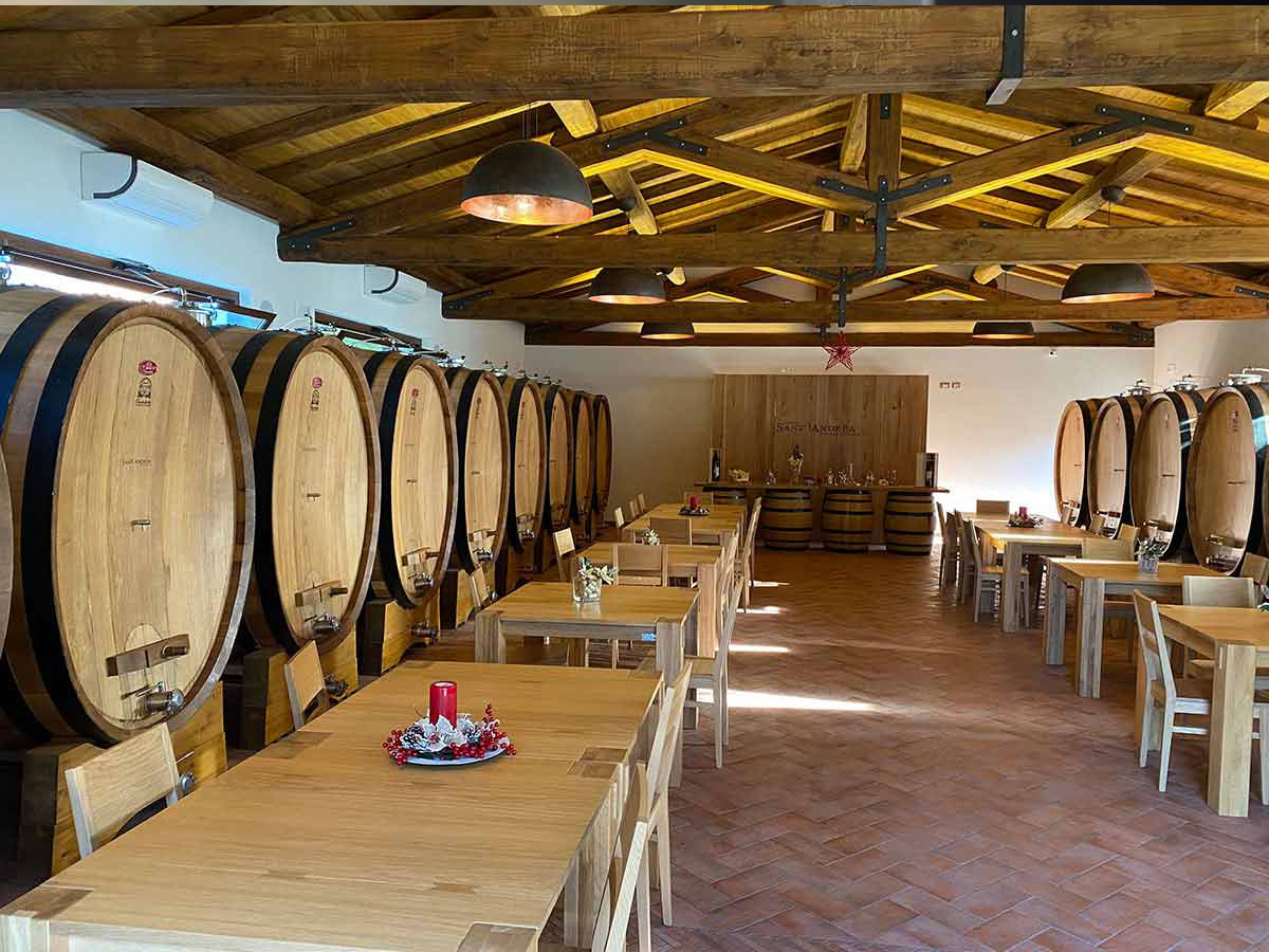 Ore 16.30 - Visita ai vigneti e alla cantina con degustazione di prodotti tipici presso l'Azienda Agricola "Cantina Sant'Andrea"