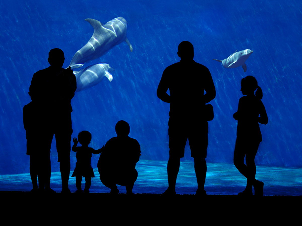 Ore 15.00 - Visita all'Acquario di Genova
